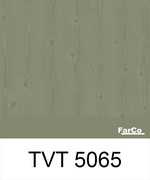 TVT 5065